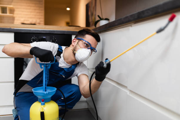 Best Pest Control Near Me in Upper Greenwood Lake, NJ