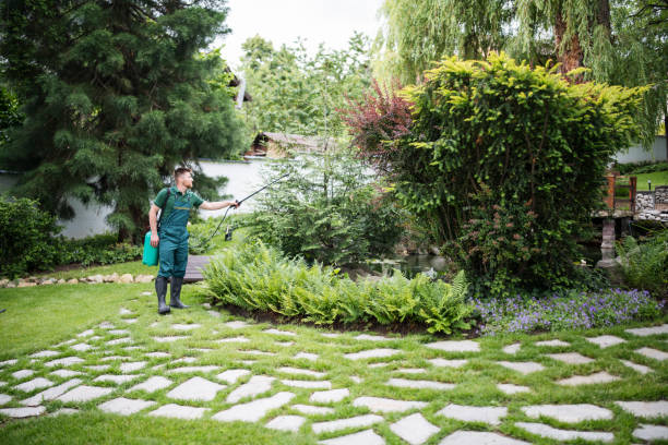 Best Affordable Pest Control Services  in Upper Greenwood Lake, NJ