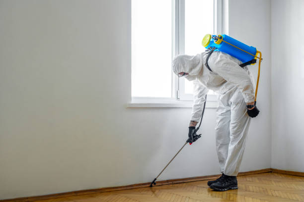 Trusted Upper Greenwood Lake, NJ Pest Control Experts
