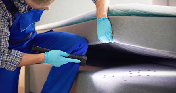 Best Wasp Removal Services  in Upper Greenwood Lake, NJ