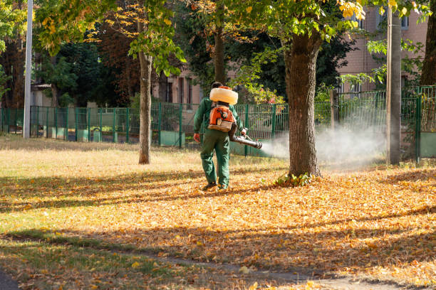 Wildlife Control Services in Upper Greenwood Lake, NJ