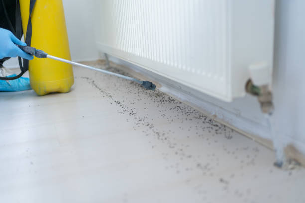 Best Local Pest Control Services  in Upper Greenwood Lake, NJ