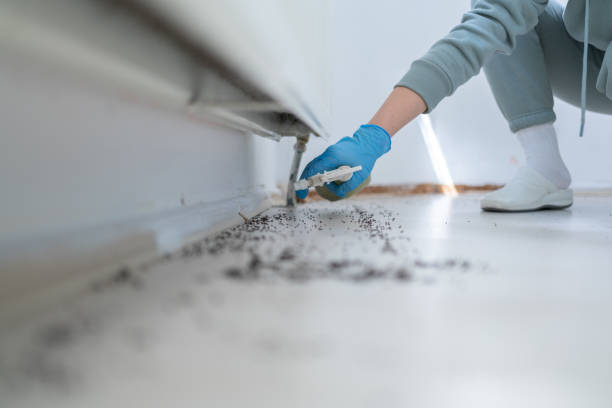 Best Commercial Pest Control Services  in Upper Greenwood Lake, NJ
