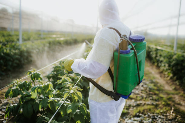 Best Insect Control  in Upper Greenwood Lake, NJ